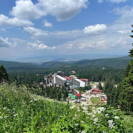 Appartamento Arboro Borovets Gardens E68 Esterno foto