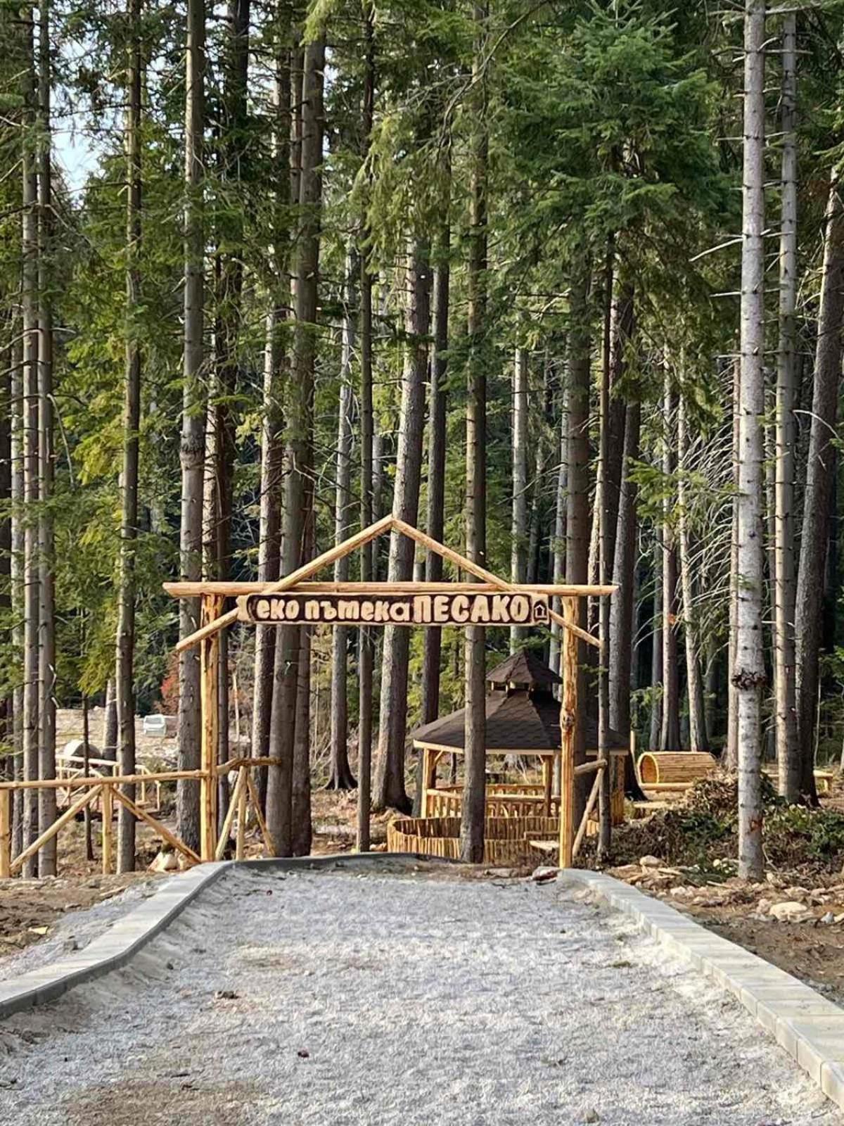 Appartamento Arboro Borovets Gardens E68 Esterno foto